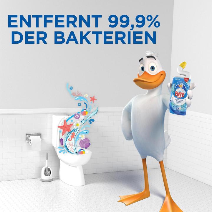 Actual product image WC-Ente Total active