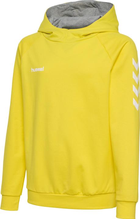 Image du produit hummel Go Kids Hoodie En Coton (164)