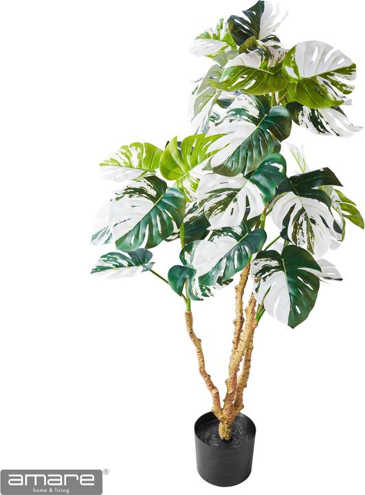 Produktbild Amare Dekopflanze Monstera deliciosa Variegata (110 cm)