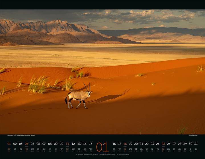 Wildes Afrika Kalender 2026 (54 x 42 cm, Harter Einband, Englisch, Französisch, Deutsch)