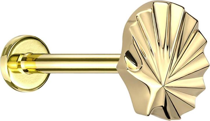 Actual product image Star Piercing Micro Threadless Labret Gold Plated Shell Gold Plated (Titanium G23, without brass)