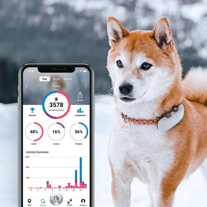 Immagine prodotto Tractive Dog 4 GPS Tracker per cani (Cane, Generale)
