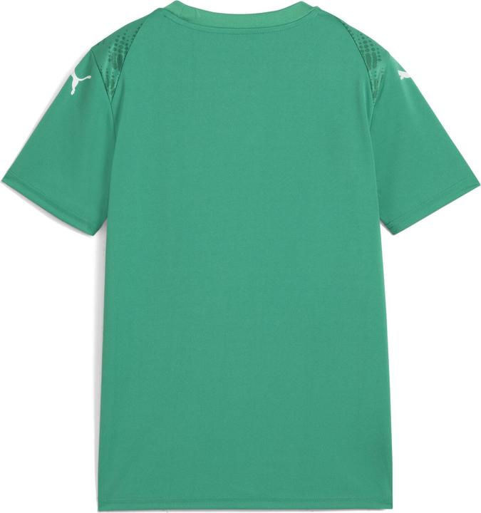 Produktbild Puma teamULTIMATE Jersey Jr (152)