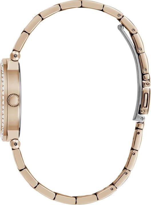 Image du produit Guess Fauve GW0686L3