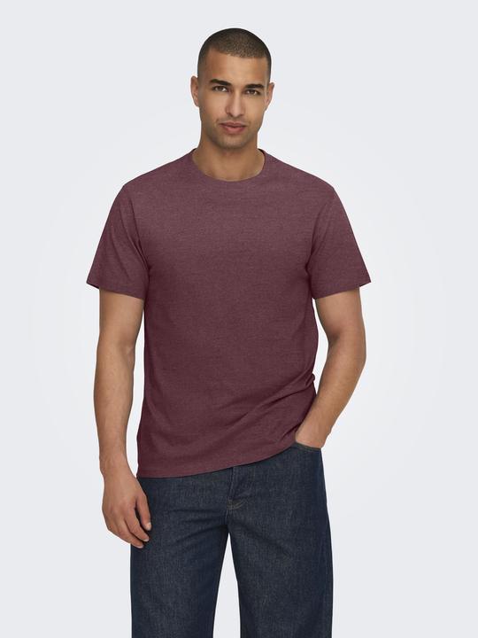 Produktbild Only & Sons Onsmax Life Ss Stitch Tee Noos (M)