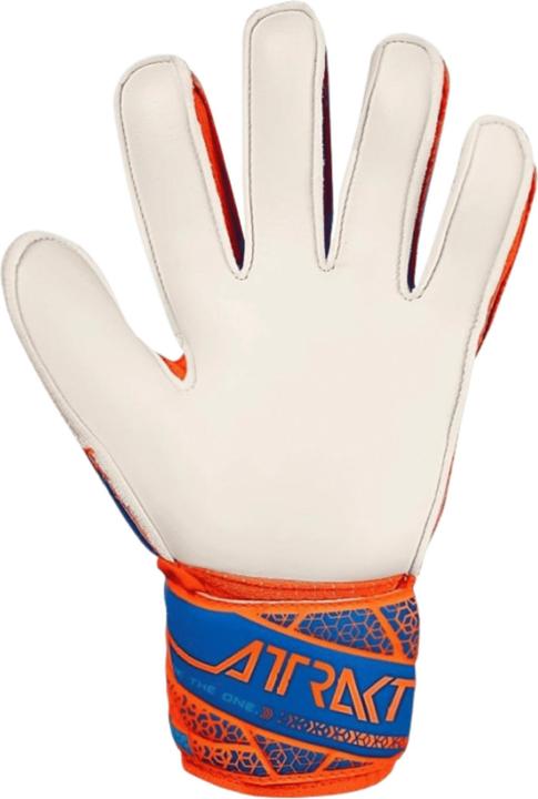 Immagine prodotto Reusch Attrakt Solid (8)