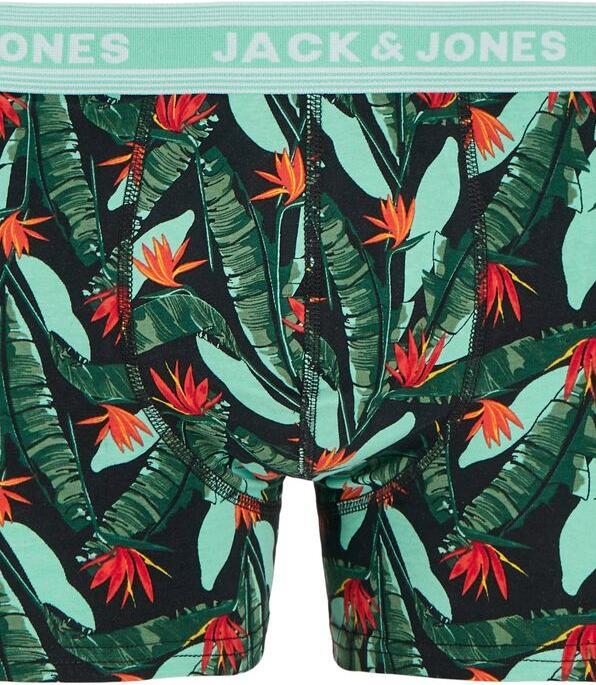 Actual product image Jack & Jones 5er-pack Shorts Shorts (S, 5-pack)