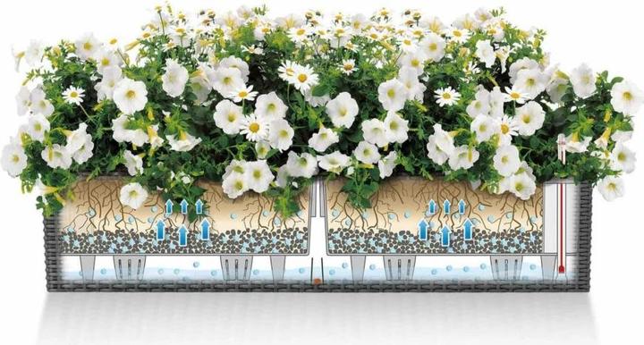 Produktbild Lechuza Balconera Cottage (19 cm)
