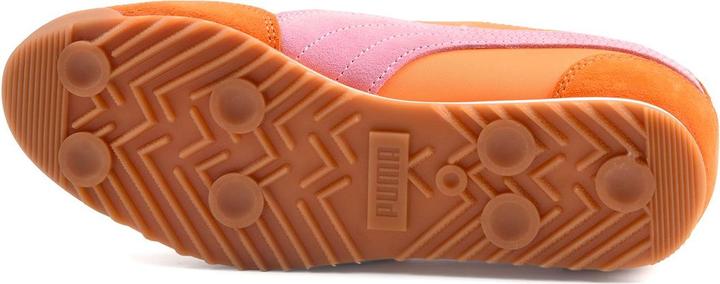 Immagine prodotto Puma Nylon dell'Arizona (39)