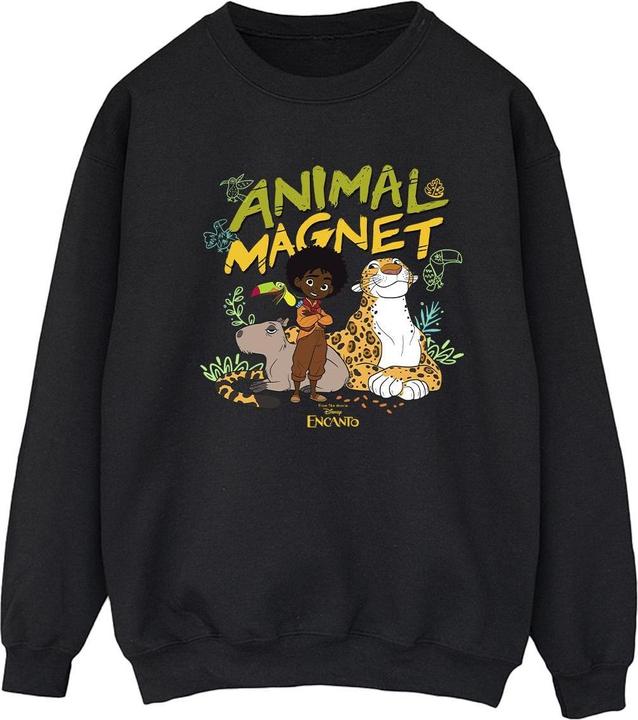 Disney Encanto Animal Magnet Sweatshirt (L)