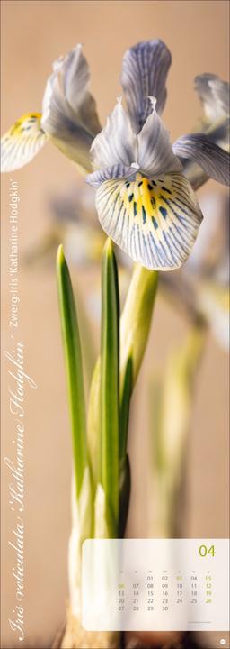 Produktbild Magic Flowers Vertical Kalender 2026 (24,5 x 69 cm, Harter Einband, Deutsch)
