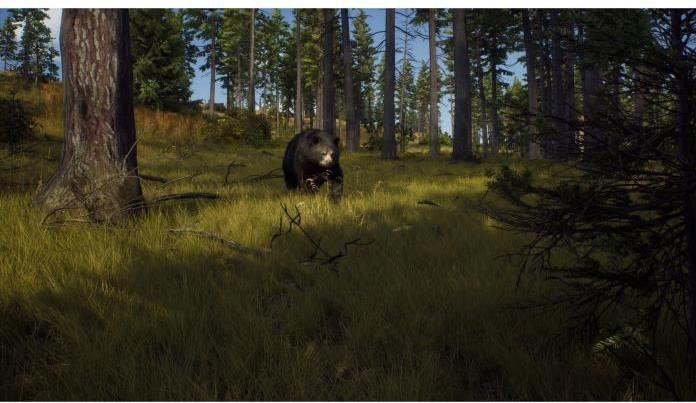 Immagine prodotto THQ Via del cacciatore (PC, EN)