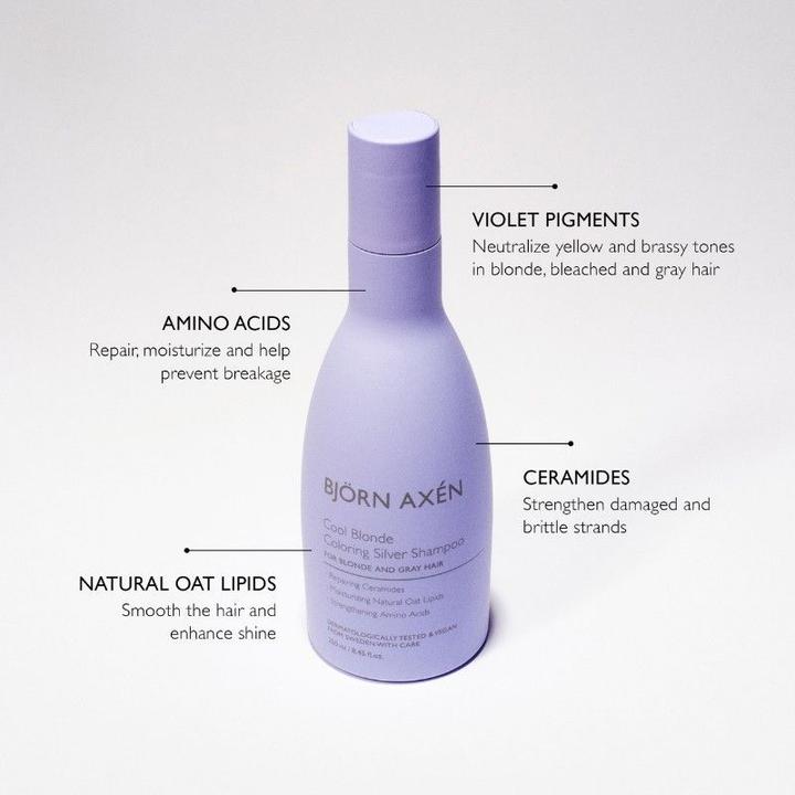 Produktbild Björn Axen Cool Silver (250 ml, Flüssiges Shampoo)