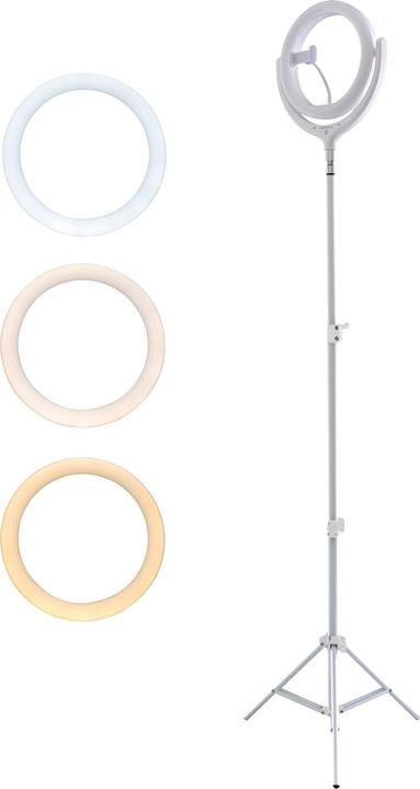 4smarts Videoleuchte Selfie LoomiPod (Video light)