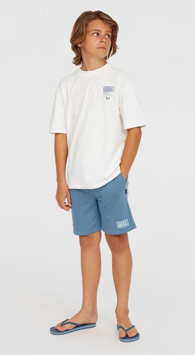Immagine prodotto O'Neill Logo Sweatshorts (104)
