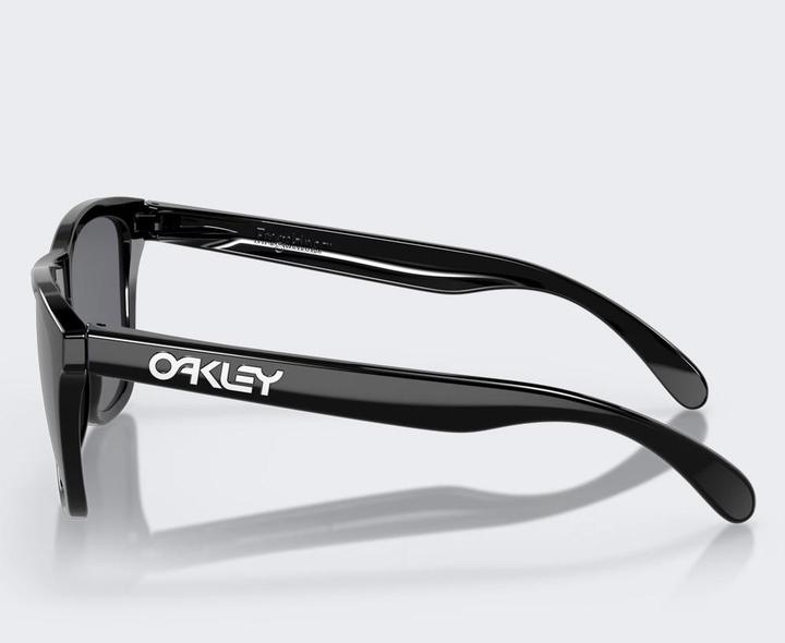 Immagine prodotto Oakley Frogskins