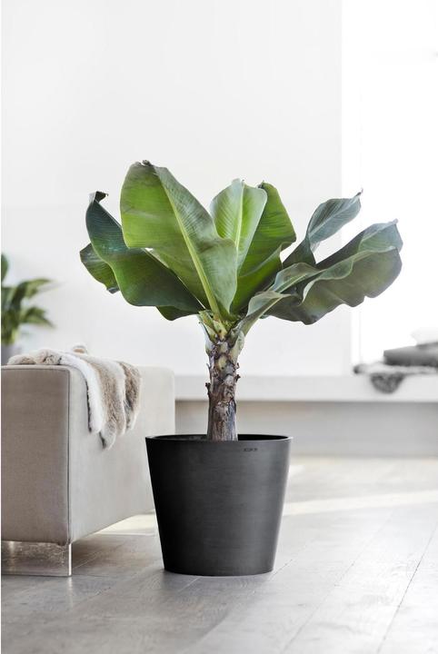 Produktbild Ecopots Amsterdam (40 cm)