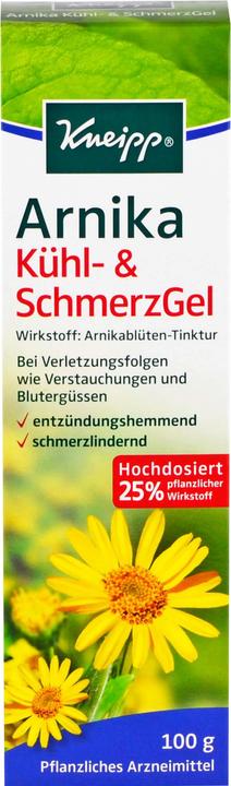 Produktbild Arnika Kühl- & SchmerzGel, 100 g Gel (1 x)