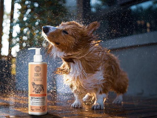 Actual product image Wilda Siberica shampooing DETANGLING, 5 l (5000 ml, Liquid shampoo)