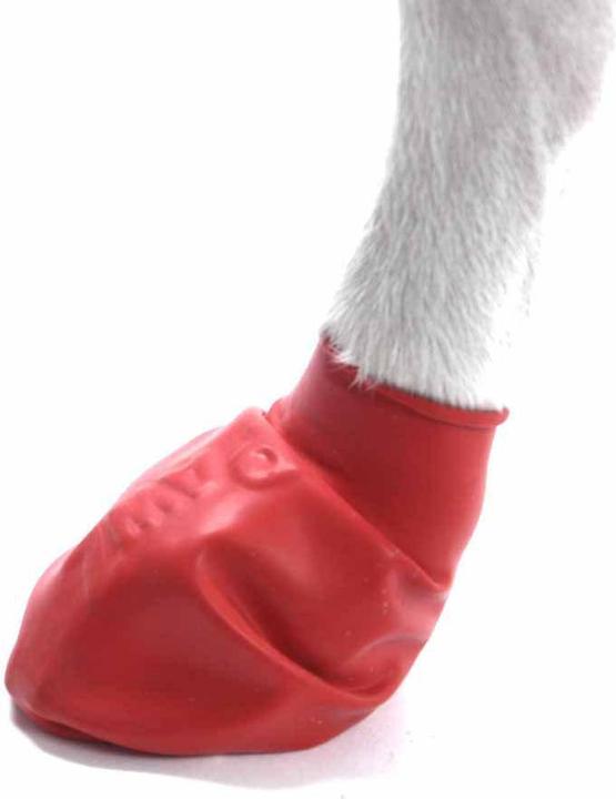 Produktbild Pawz Pfotenschutz (S, Hundeschuhe)