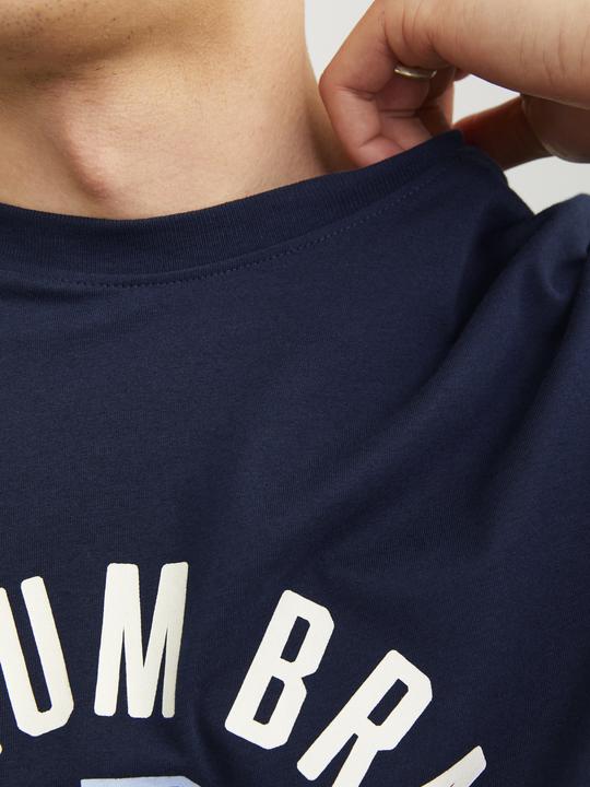 Immagine prodotto Jack & Jones T-shirt stampata con scollo rotondo (M)