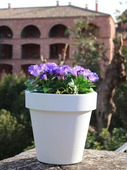 Produktbild Newgarden MAGNOLIA 80 LED XXL beleuchteter Blumentopf, Garten-Übertopf gross aussen E27 ø80x76cm IP65