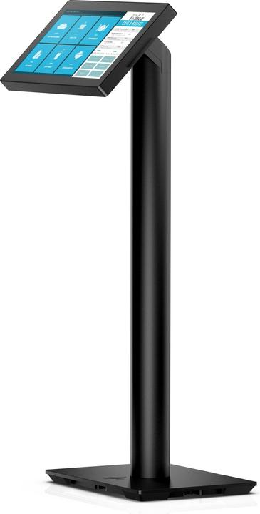 Actual product image HP Engage 16.7cm 6.6inch Pole Display