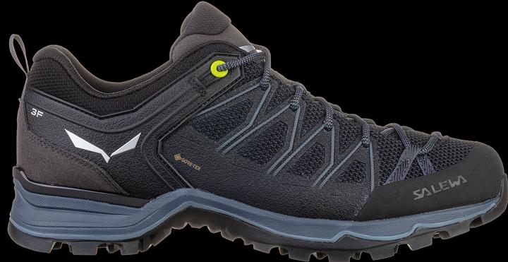 Image du produit Salewa Chaussures MTN Trainer Lite GTX (40)