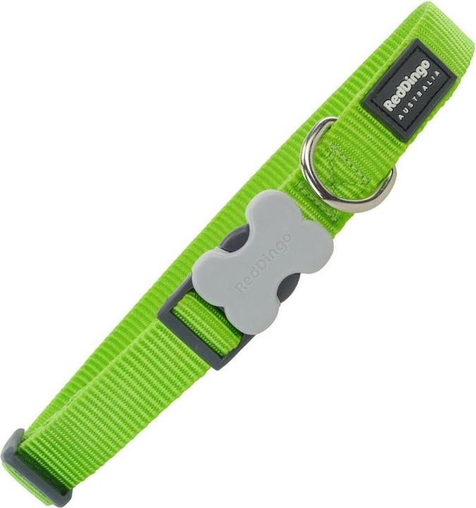 Immagine prodotto Red Dingo Collare per cani Plain Lime Green S (S, Cane, Generale)