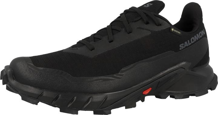 Immagine prodotto Salomon Alphacross 5 GTX - 59879 (44)