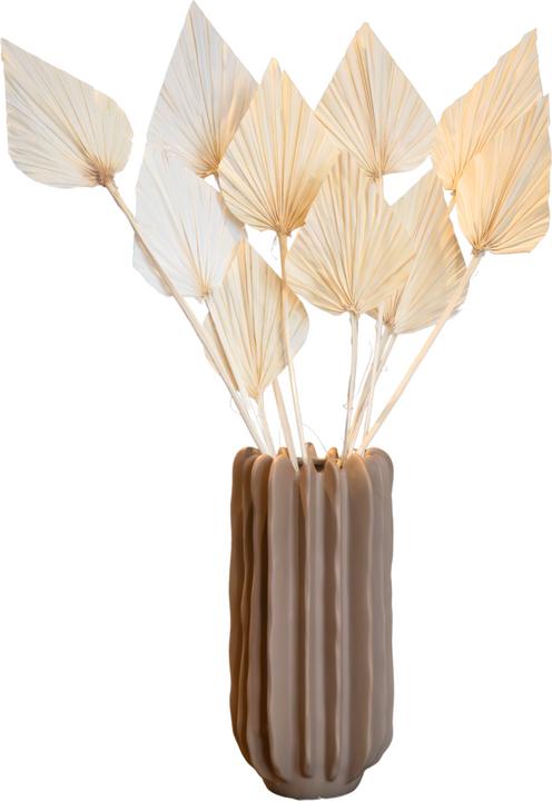 Image du produit Plant in a Box - (50 cm)