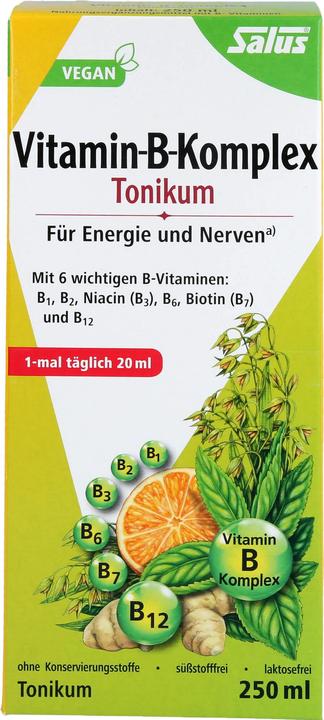 Actual product image Salus Vitamin-B-Komplex (1 Piece, Liquid, 601 g)