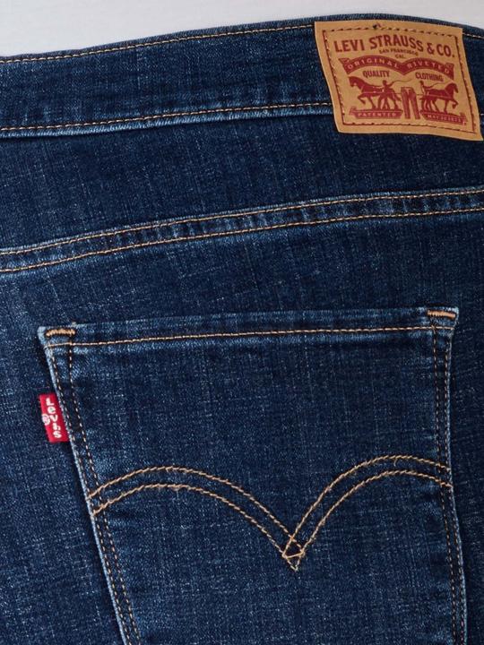 Actual product image Levis 10012552 (W42/L30)