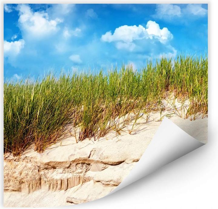 Image du produit Trenddeko Mer Baltique paysage de dunes (50 x 50 cm)