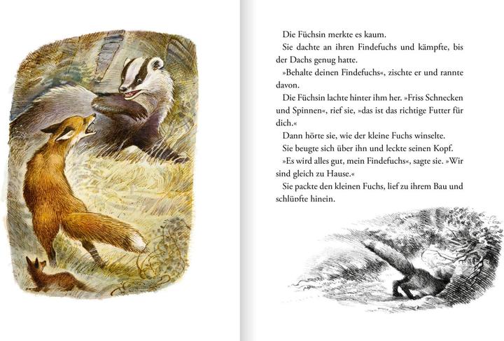 Produktbild Der Findefuchs (Deutsch, Irina Korschunow, Reinhard Michl, 2021)