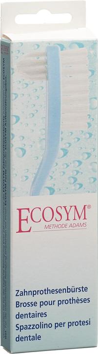 Ecosym Gebissbürste (1 x)