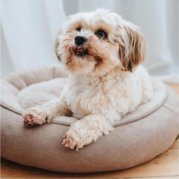 Actual product image Hunter Dog donut Rockford (Dog)