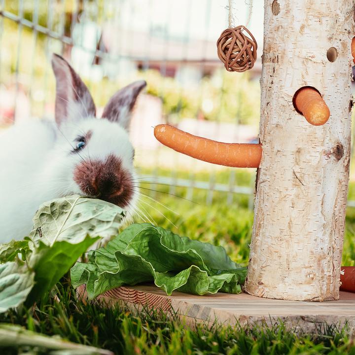Produktbild Relaxdays Kaninchen Spielzeug