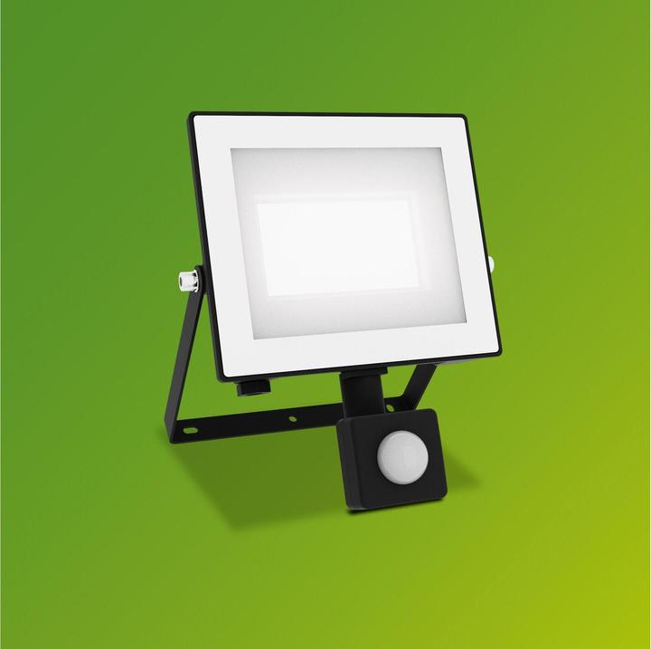 Actual product image Philips Outdoor Flutlicht Lois (2850 lm, IP65)