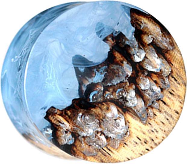 Star Piercing Flared Plug Höhle mit Rauch Epoxy blau aus Tamarind Holz (ohne Messing, Organisch)
