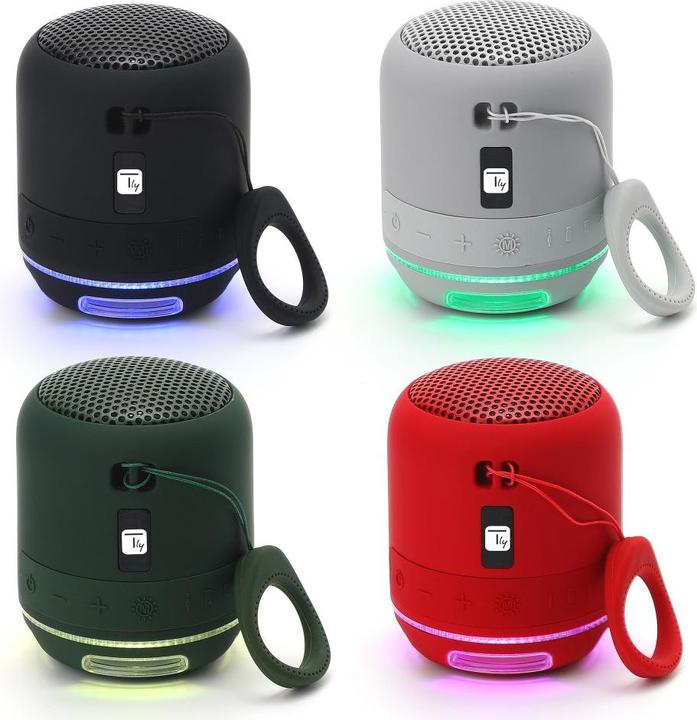Image du produit Techly Enceinte portable sans fil (4 h, Fonctionnement sur batterie)