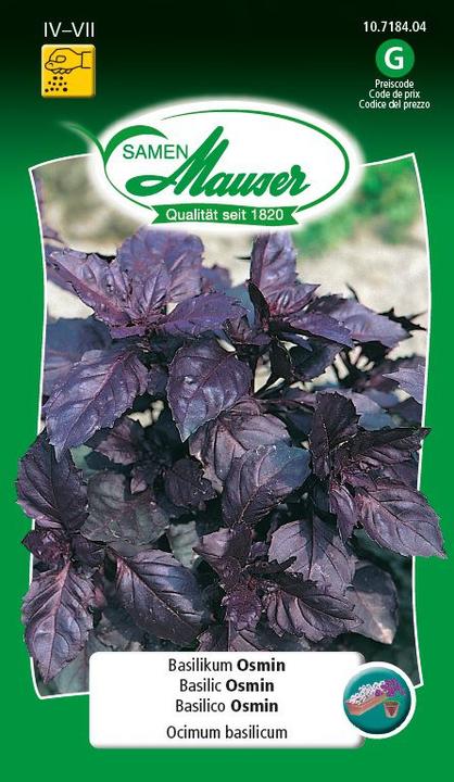 Actual product image Samen Mauser Basil Osmin (Herb seeds)