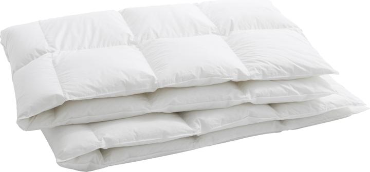 Actual product image Billerbeck Lucerne 100 (1000 g, 240 x 240 cm)