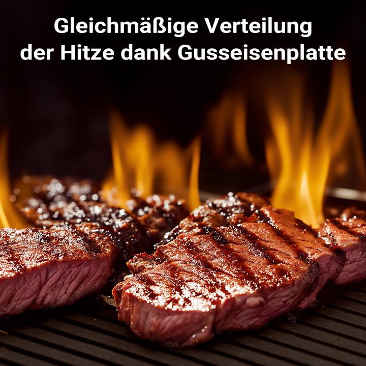 Produktbild Wiltec Gusseisen Grillplatte 49,8x24,3x1,5cm Grill Platte Grillzubehör BBQ