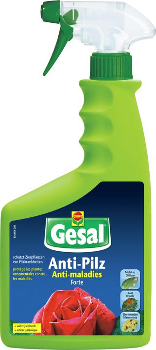 Gesal Anti-Pilz FORTE (Mushrooms)