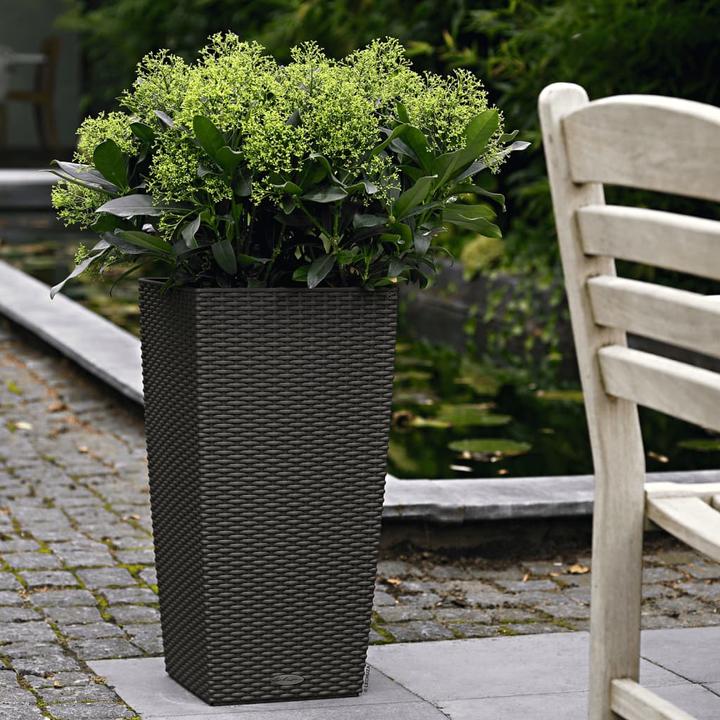 Actual product image Lechuza Cubico Cottage (29.50 cm)
