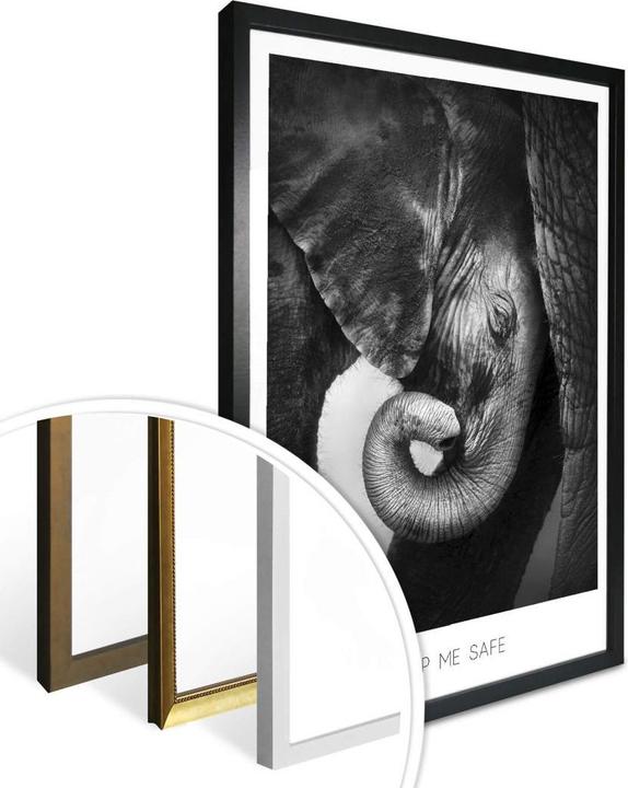 Produktbild Trenddeko Das Elefantenbaby - Keep me safe (100 x 120 cm)