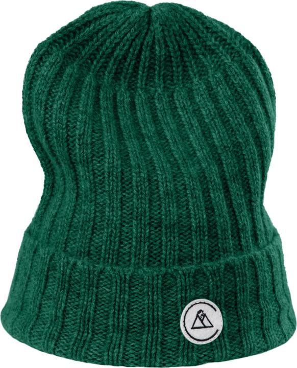 Vert forêt tropicale