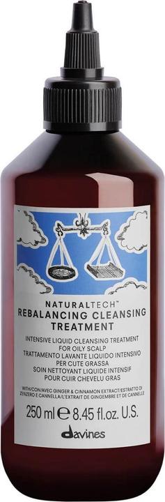 Image du produit Davines Naturaltech - Traitement nettoyant rééquilibrant (250 ml)