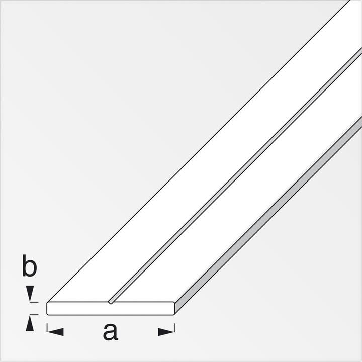 Image du produit Alfer Barre plate